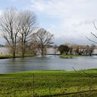 Rheinhochwasser 04