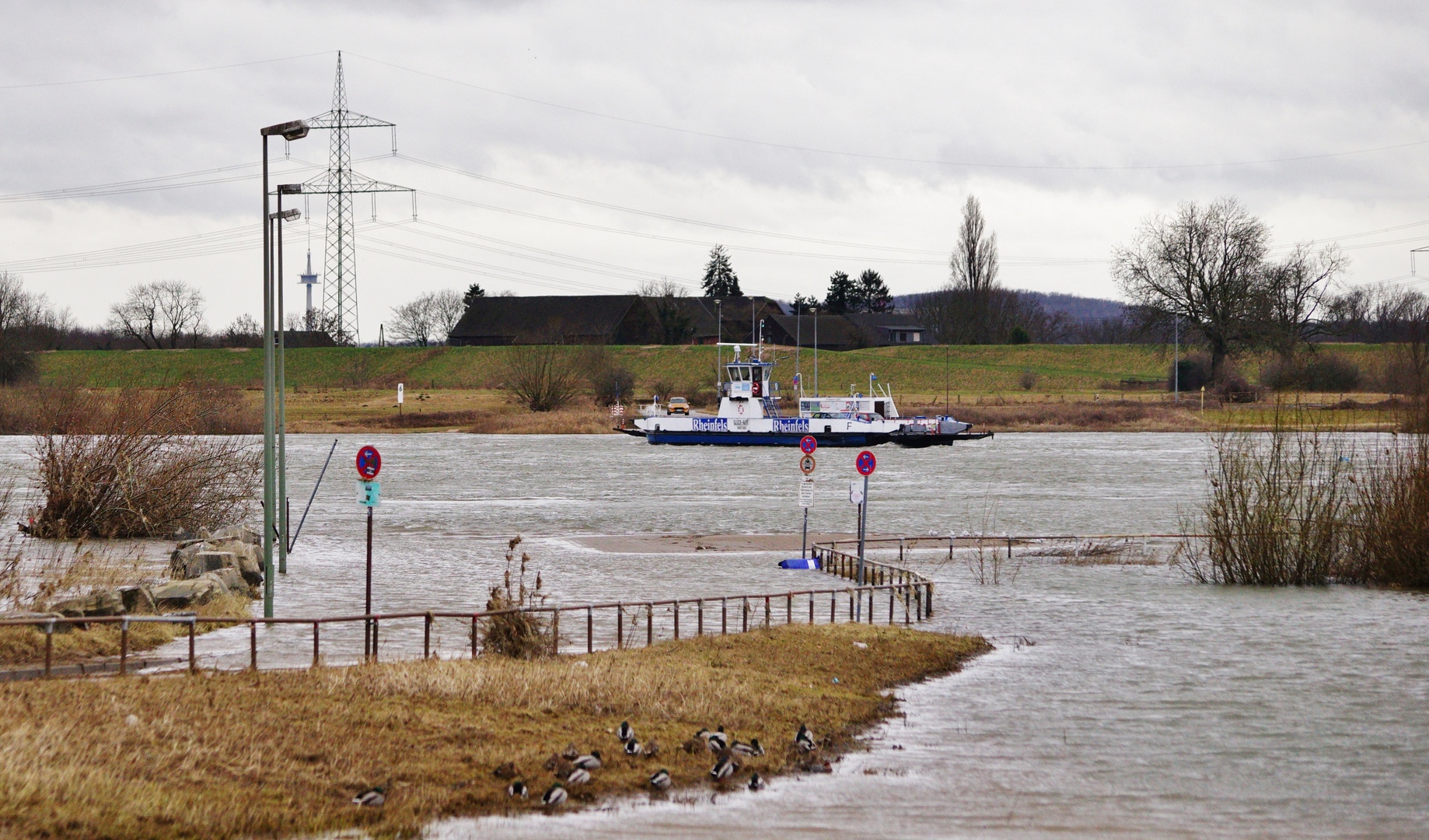 Rheinhochwasser