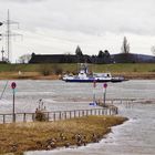 Rheinhochwasser