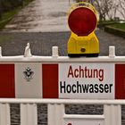 Rheinhochwasser 1