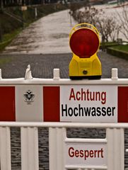 Rheinhochwasser 1