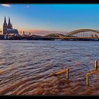 Rheinhochwasser #16
