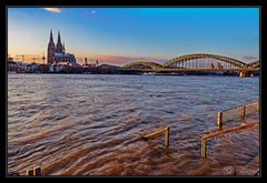 Rheinhochwasser #16