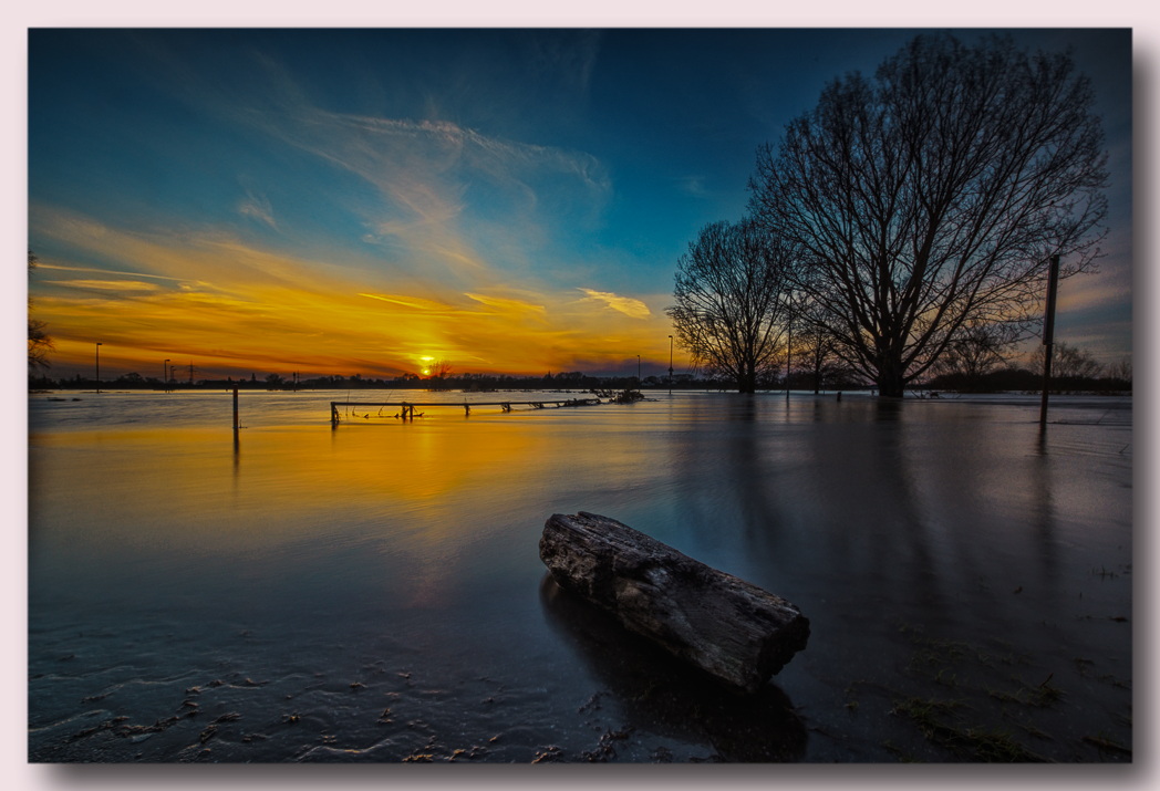 Rheinhochwasser