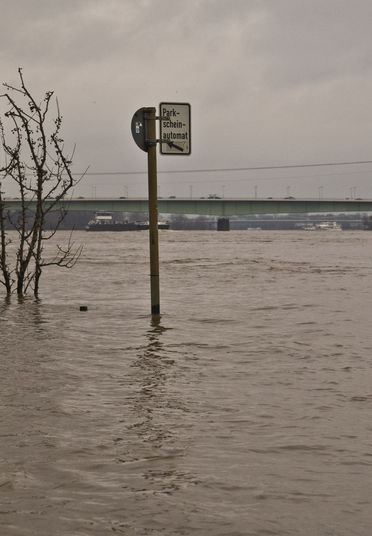 Rheinhochwasser 2