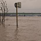 Rheinhochwasser 2