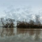 Rheinhochwasser 2