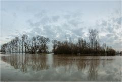 Rheinhochwasser 2