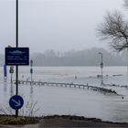 Rheinhochwasser 2. Welle