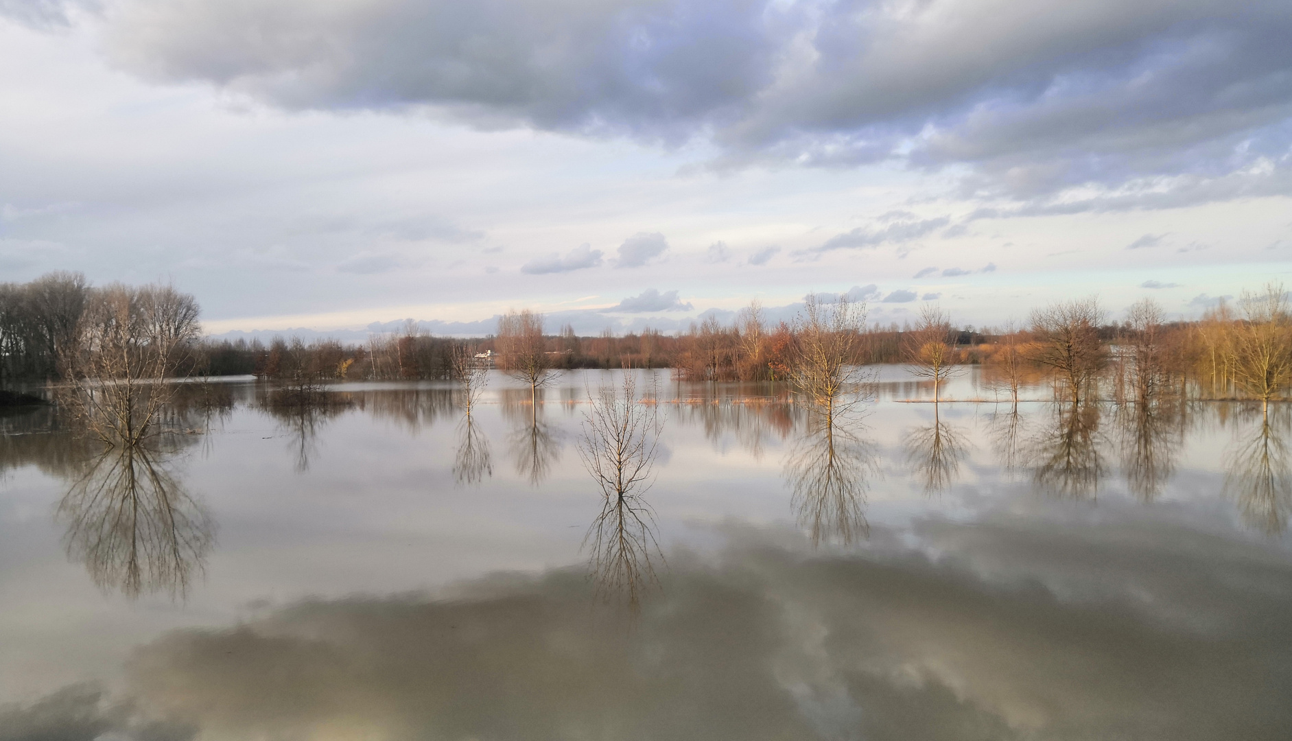 Rheinhochwasser 2021