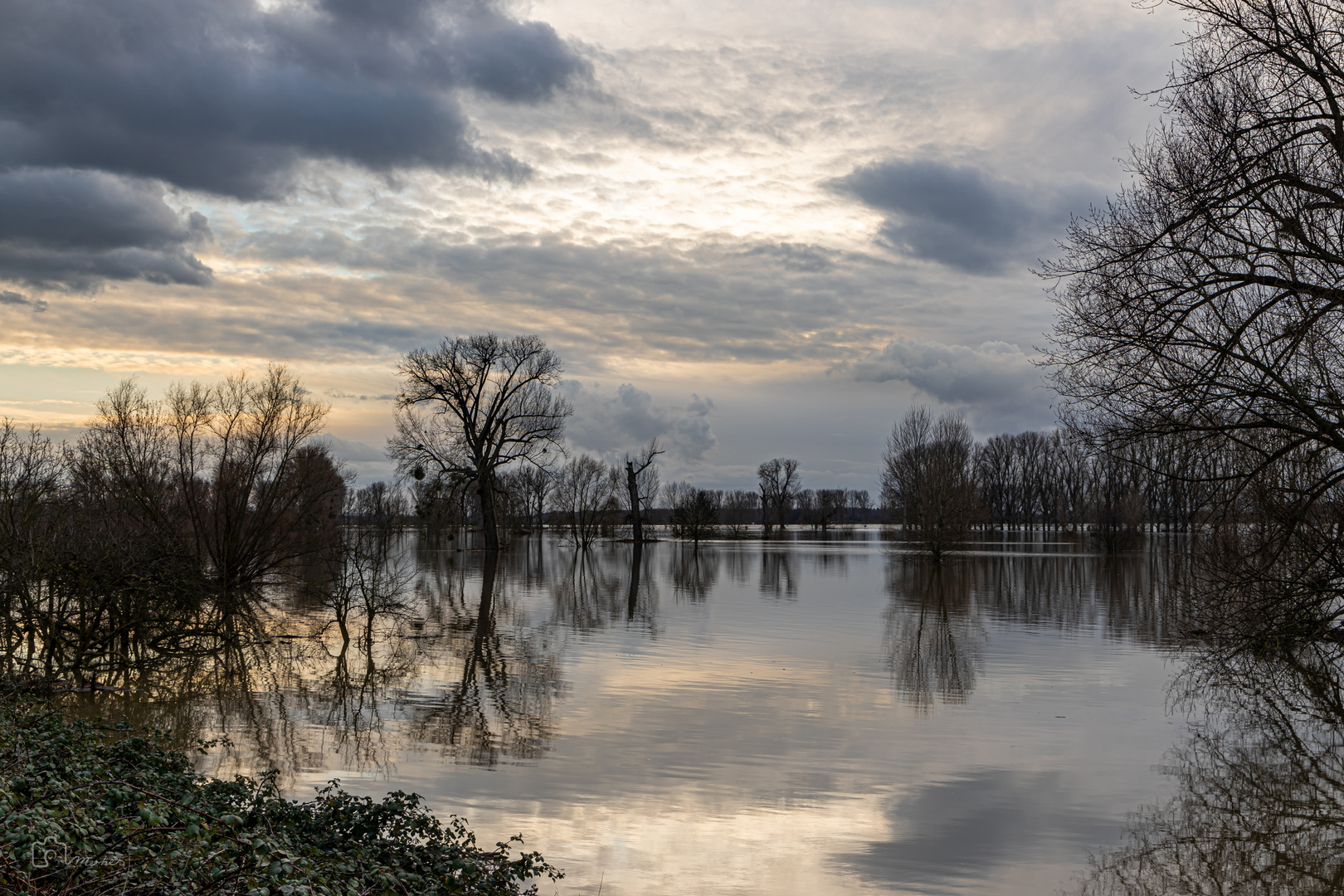 Rheinhochwasser 2021