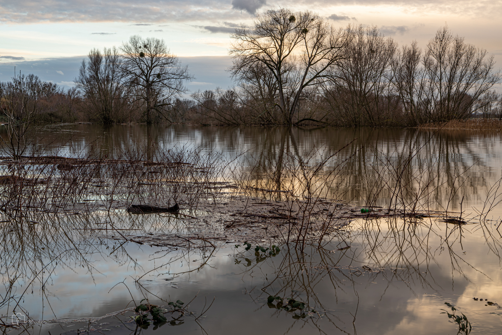 Rheinhochwasser 2021-3