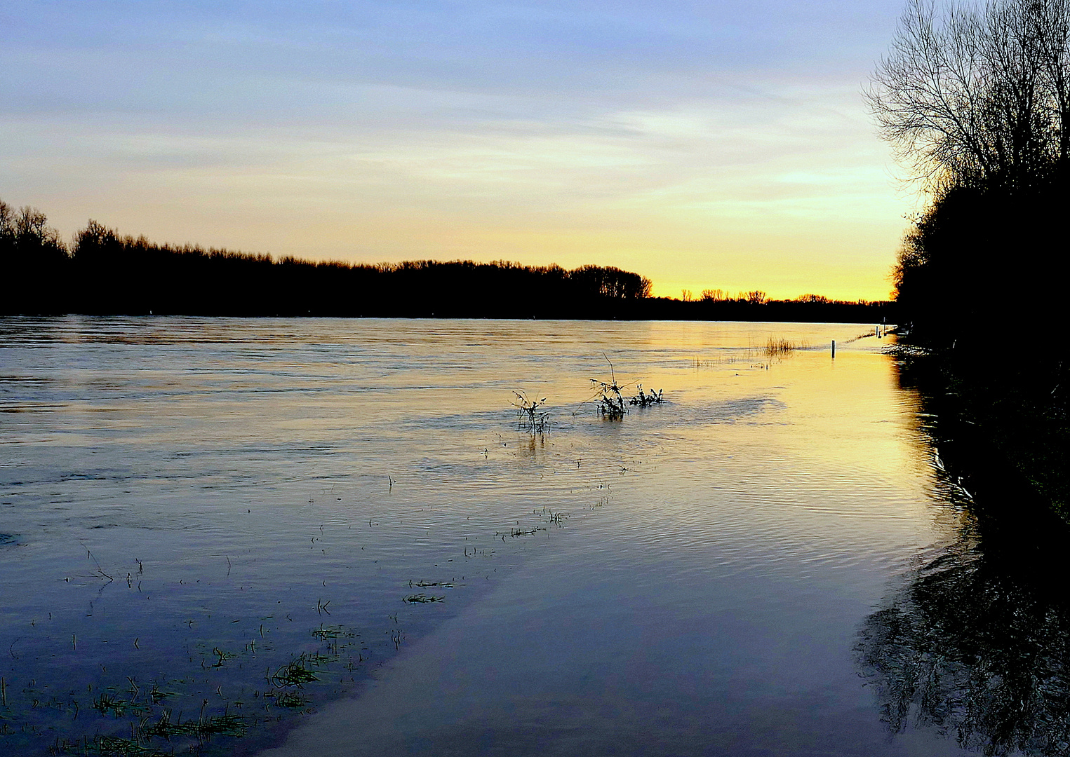 Rheinhochwasser 27.12. 2023