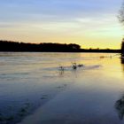 Rheinhochwasser 27.12. 2023