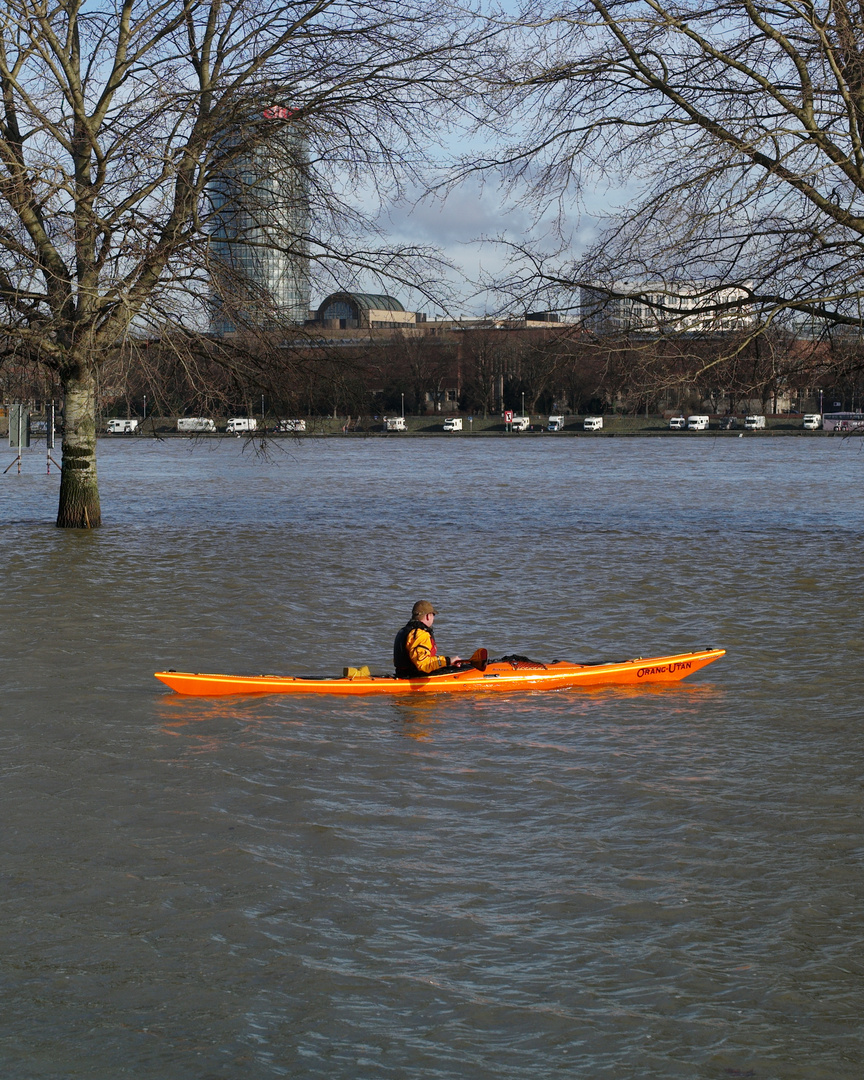 Rheinhochwasser 2o12