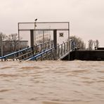 Rheinhochwasser 3