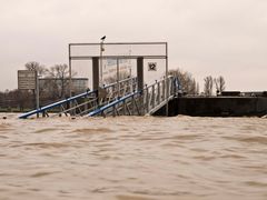 Rheinhochwasser 3