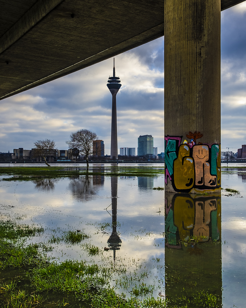 Rheinhochwasser