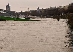 Rheinhochwasser 5