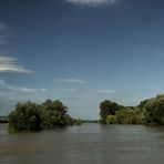 Rheinhochwasser