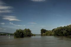 Rheinhochwasser