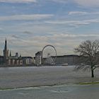 Rheinhochwasser