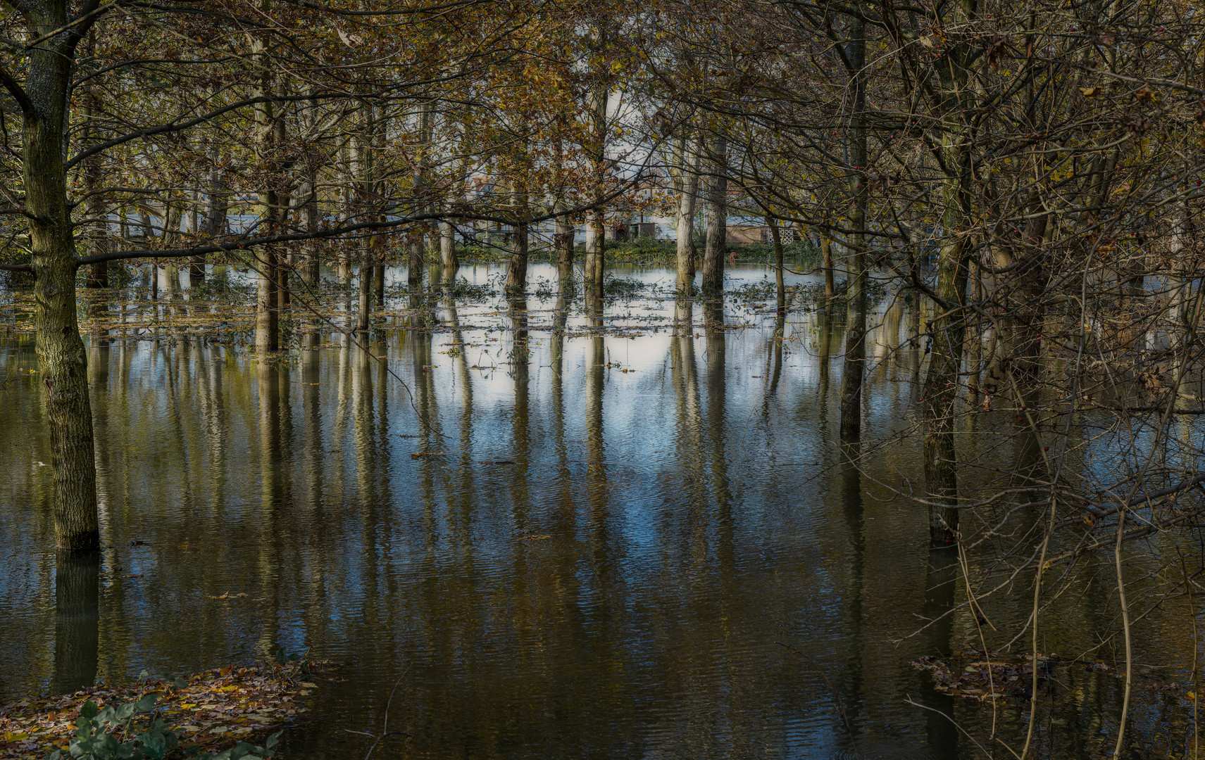 Rheinhochwasser...