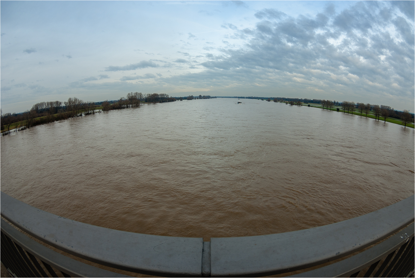 Rheinhochwasser