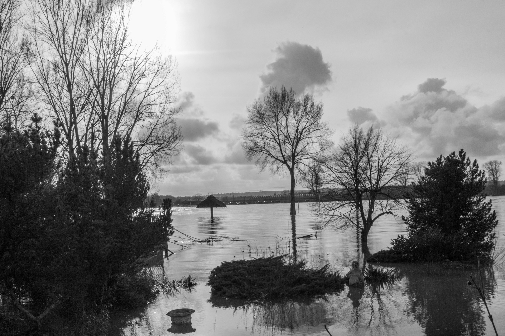 Rheinhochwasser bei Mondorf
