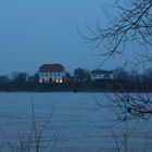 Rheinhochwasser bei Wesel / Ndrh.