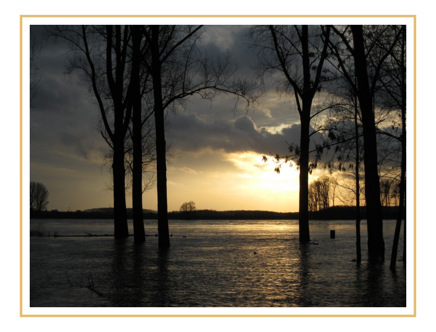 Rheinhochwasser