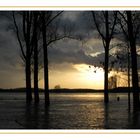 Rheinhochwasser