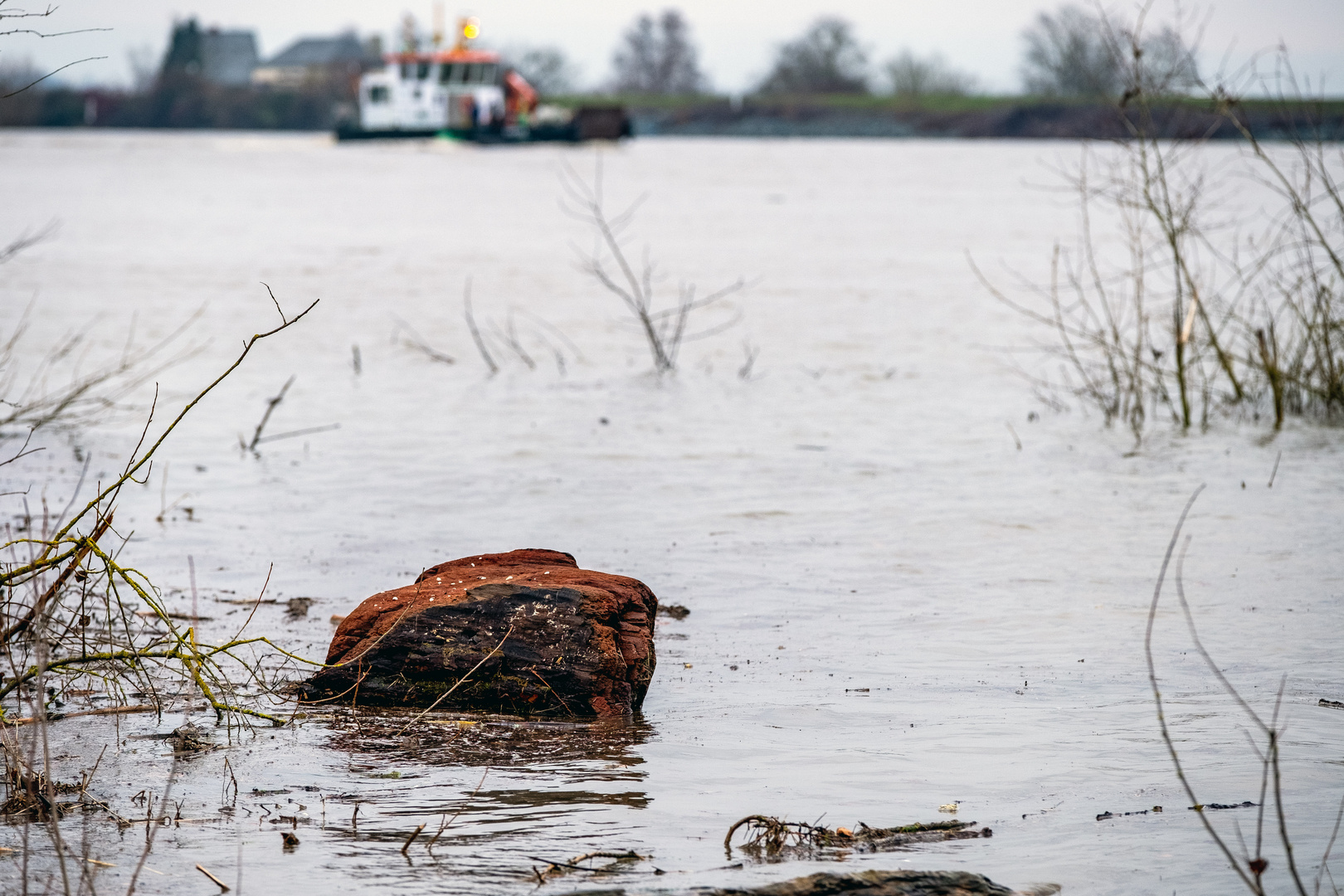 Rheinhochwasser