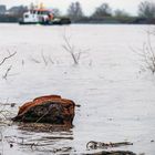 Rheinhochwasser