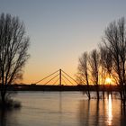 Rheinhochwasser Duisburg