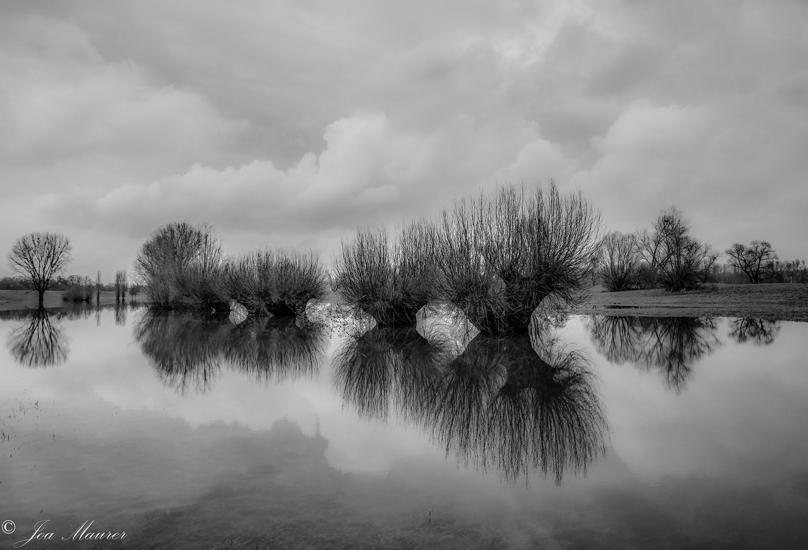 Rheinhochwasser