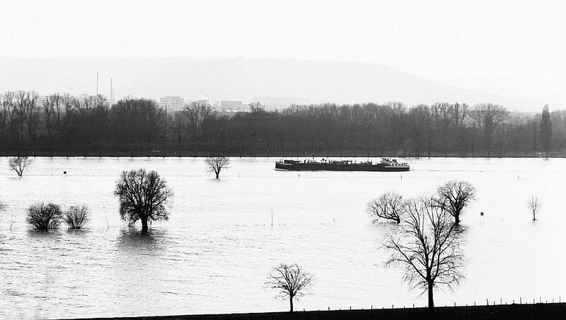 Rheinhochwasser Februar 1977