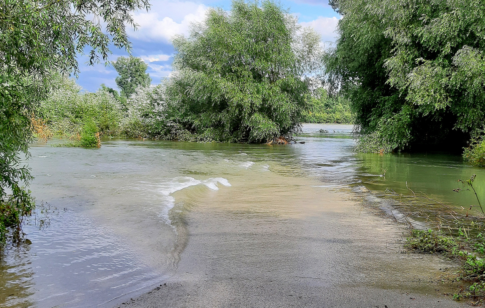 Rheinhochwasser flutet.