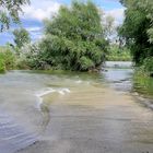 Rheinhochwasser flutet.