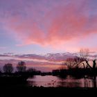 Rheinhochwasser in blauer Stunde