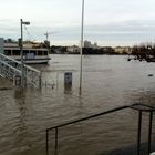 Rheinhochwasser in Bonn - Beuel Januar 2011