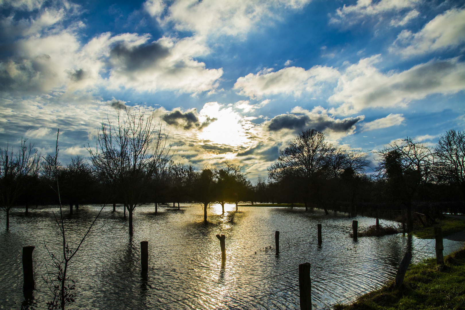 Rheinhochwasser in Rheinhausen 2