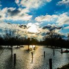 Rheinhochwasser in Rheinhausen 2