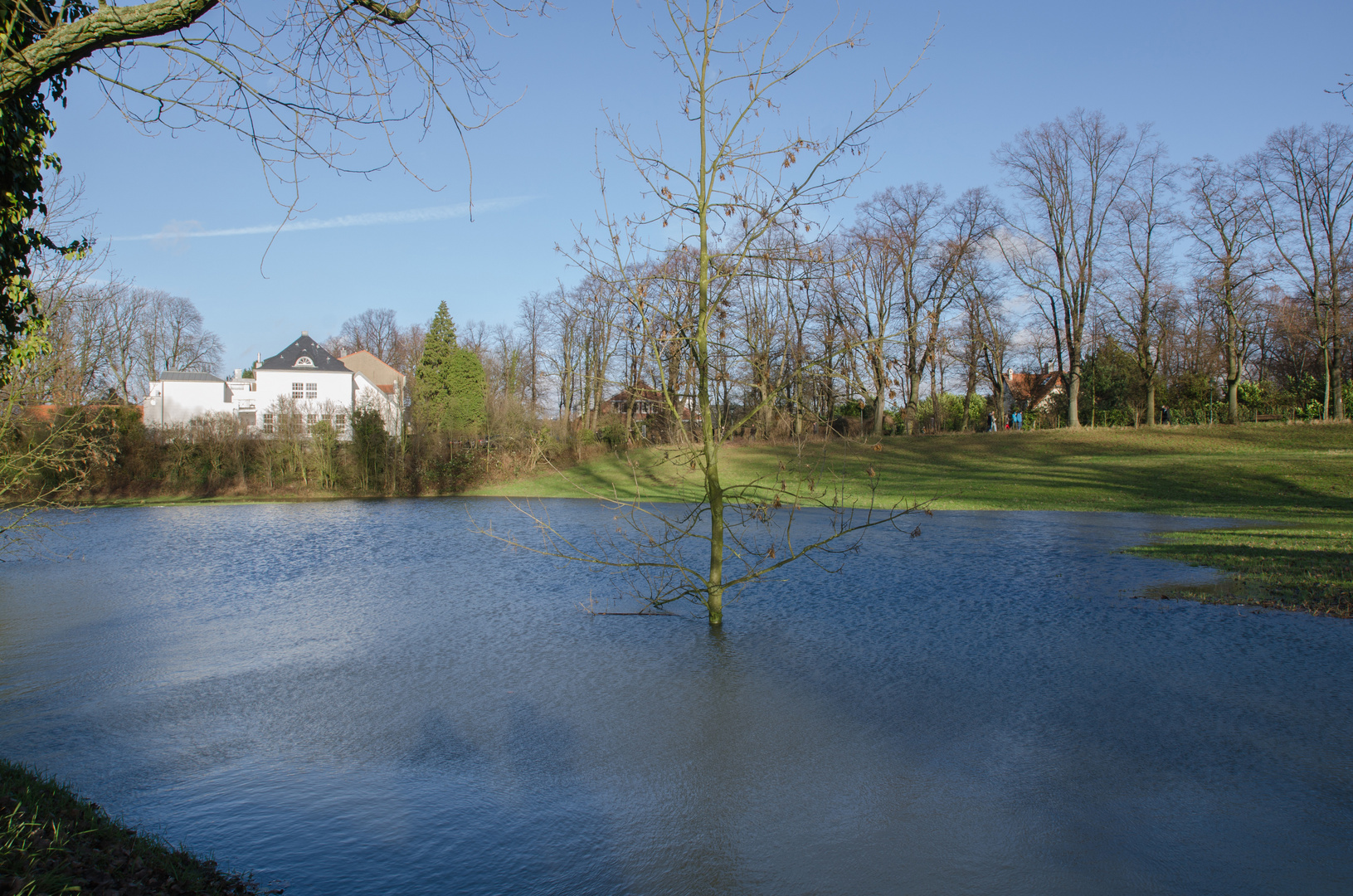 Rheinhochwasser02