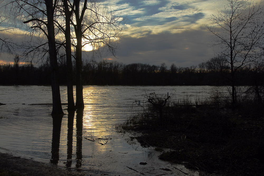 Rheinhochwasserabendstimmung