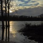 Rheinhochwasserabendstimmung