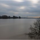Rheinhochwasser_ND1000