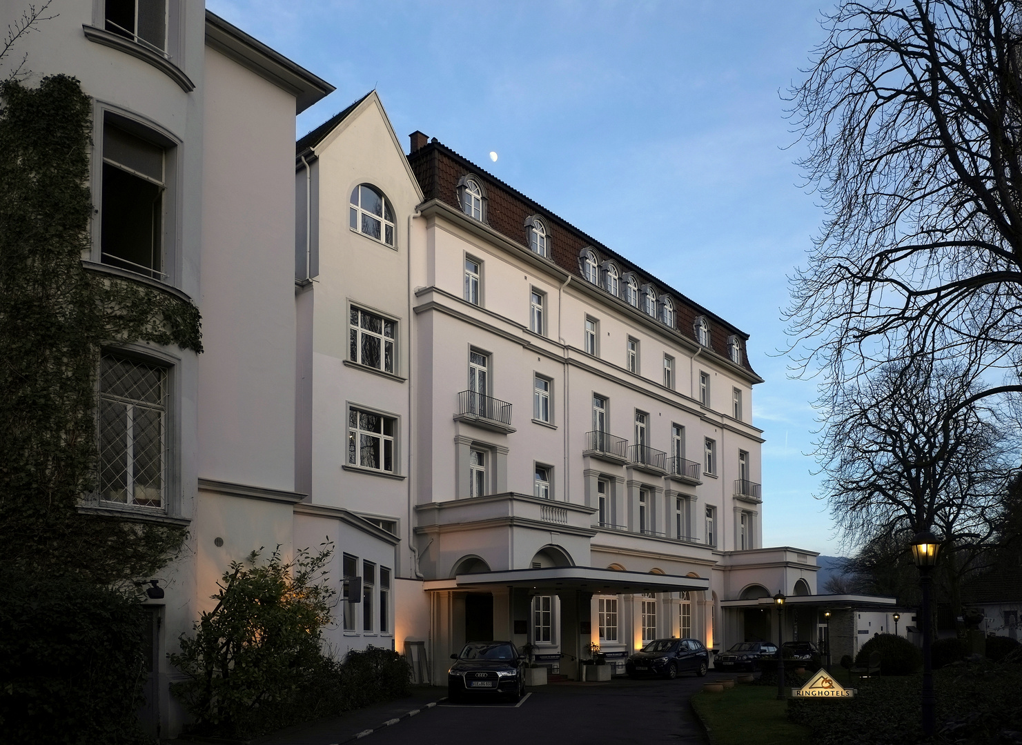 Rheinhotel Dreesen