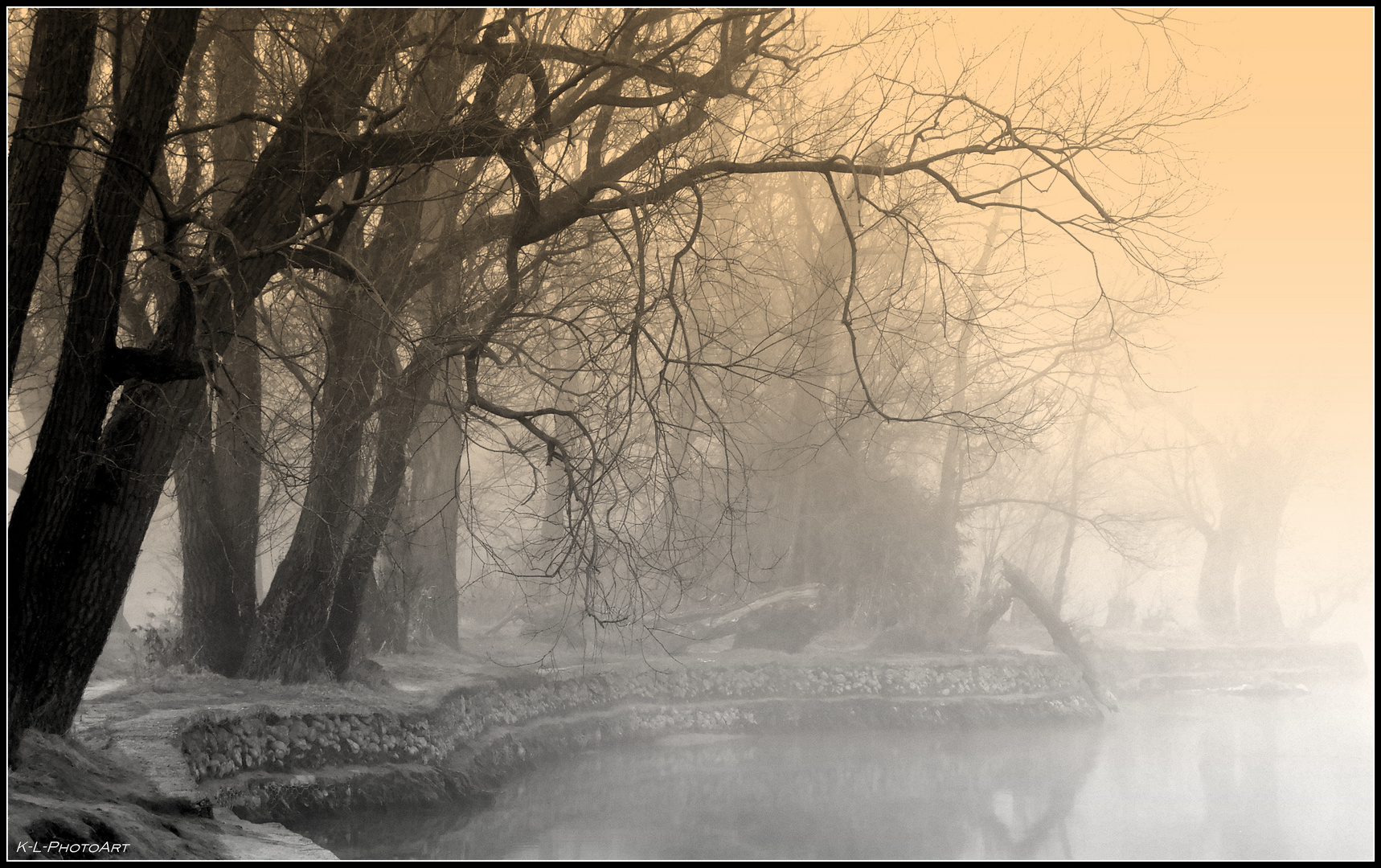 Rheininsel im Nebel