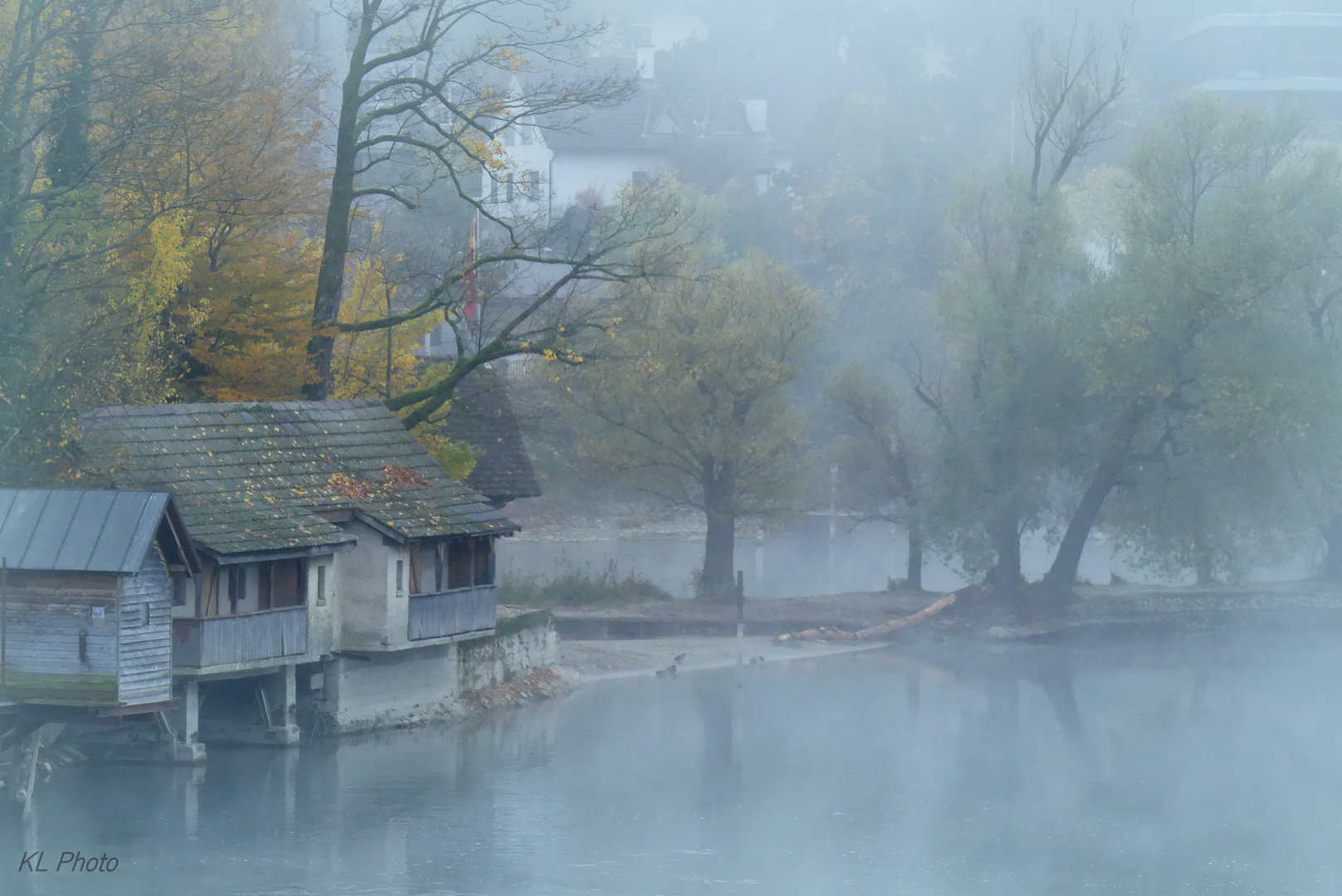 Rheininsel im Nebel